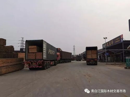 青白江國際木材交易市場 早謀劃早部署 緩解卸貨壓力